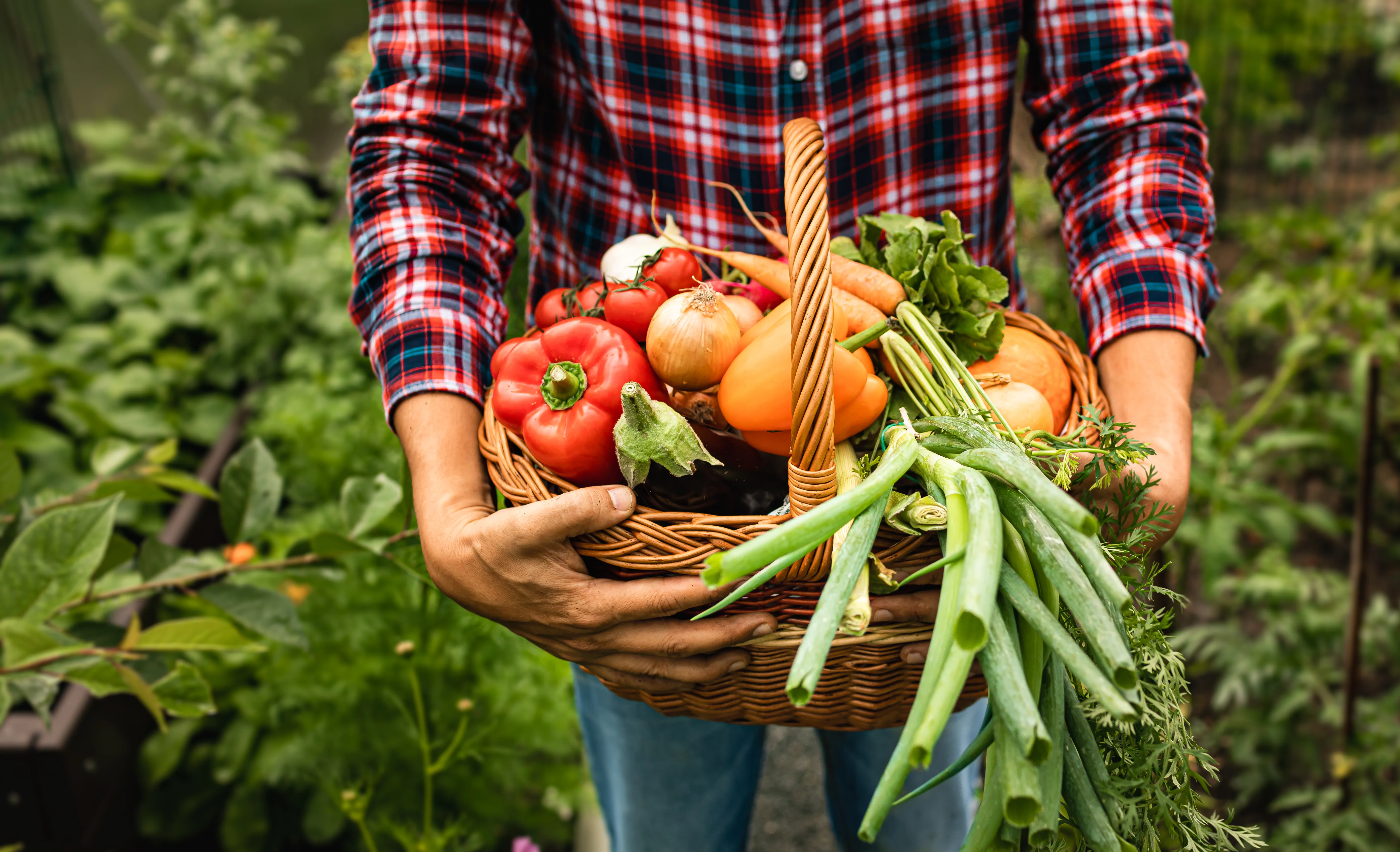 Garden Share