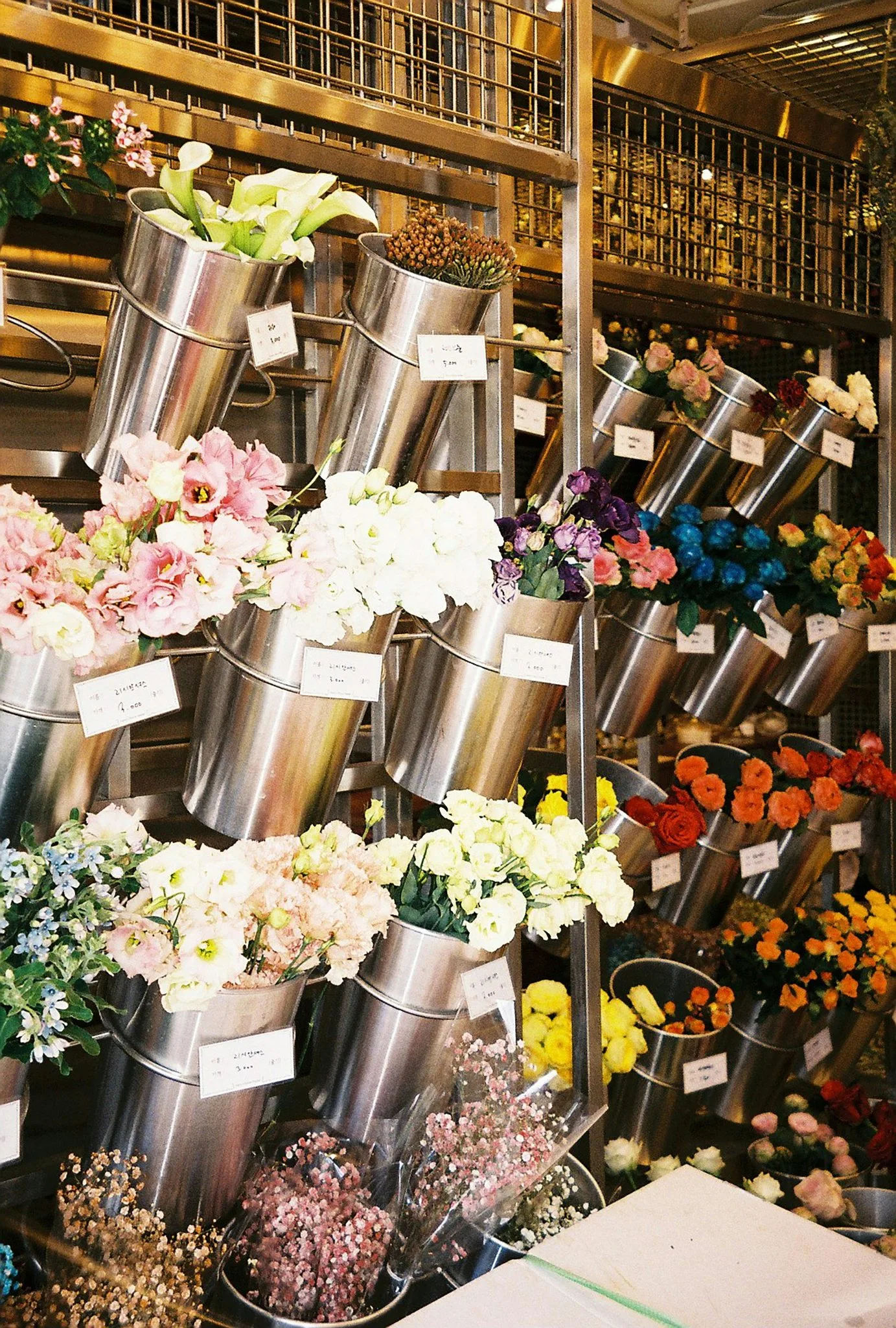 Cut Flowers
